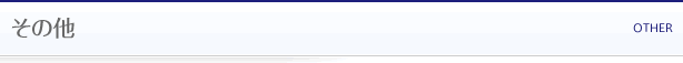 その他